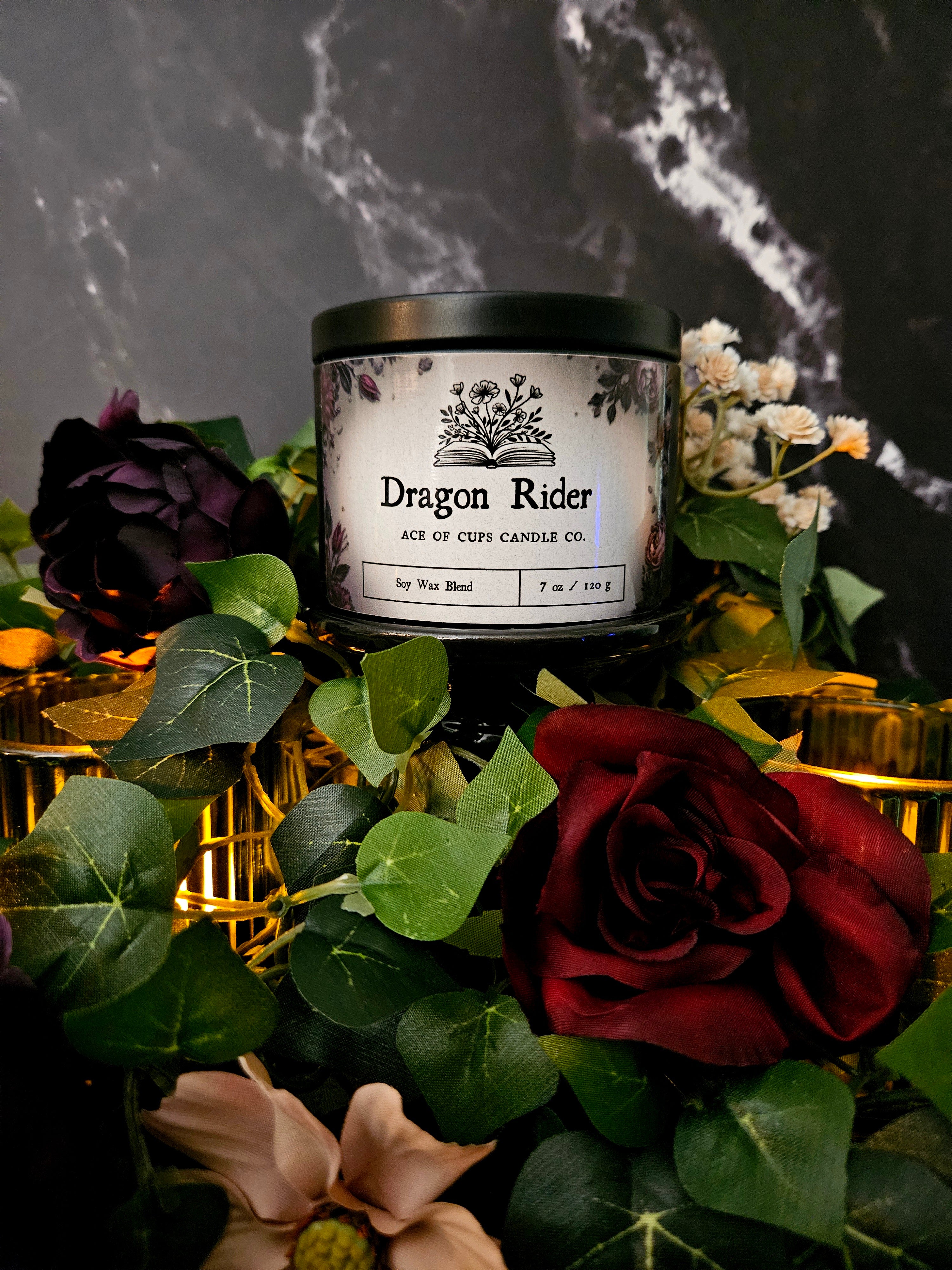 Dragon Rider